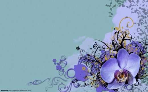 461075 (a): :1680x1050